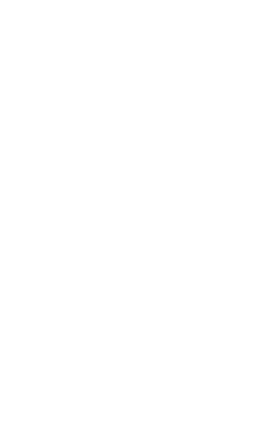 Shape Image